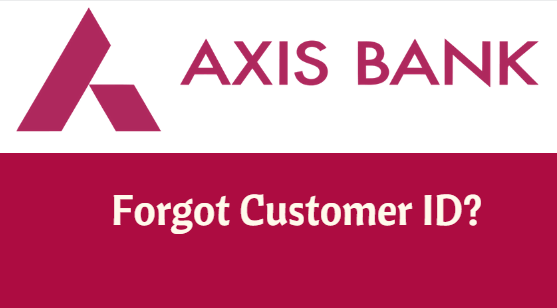 how-to-find-the-customer-id-of-the-axis-bank-finances-rule